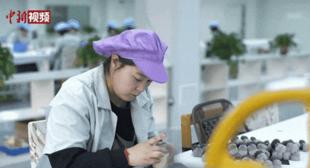 真有“两把刷子”！j9九游会登录沧州(图8)